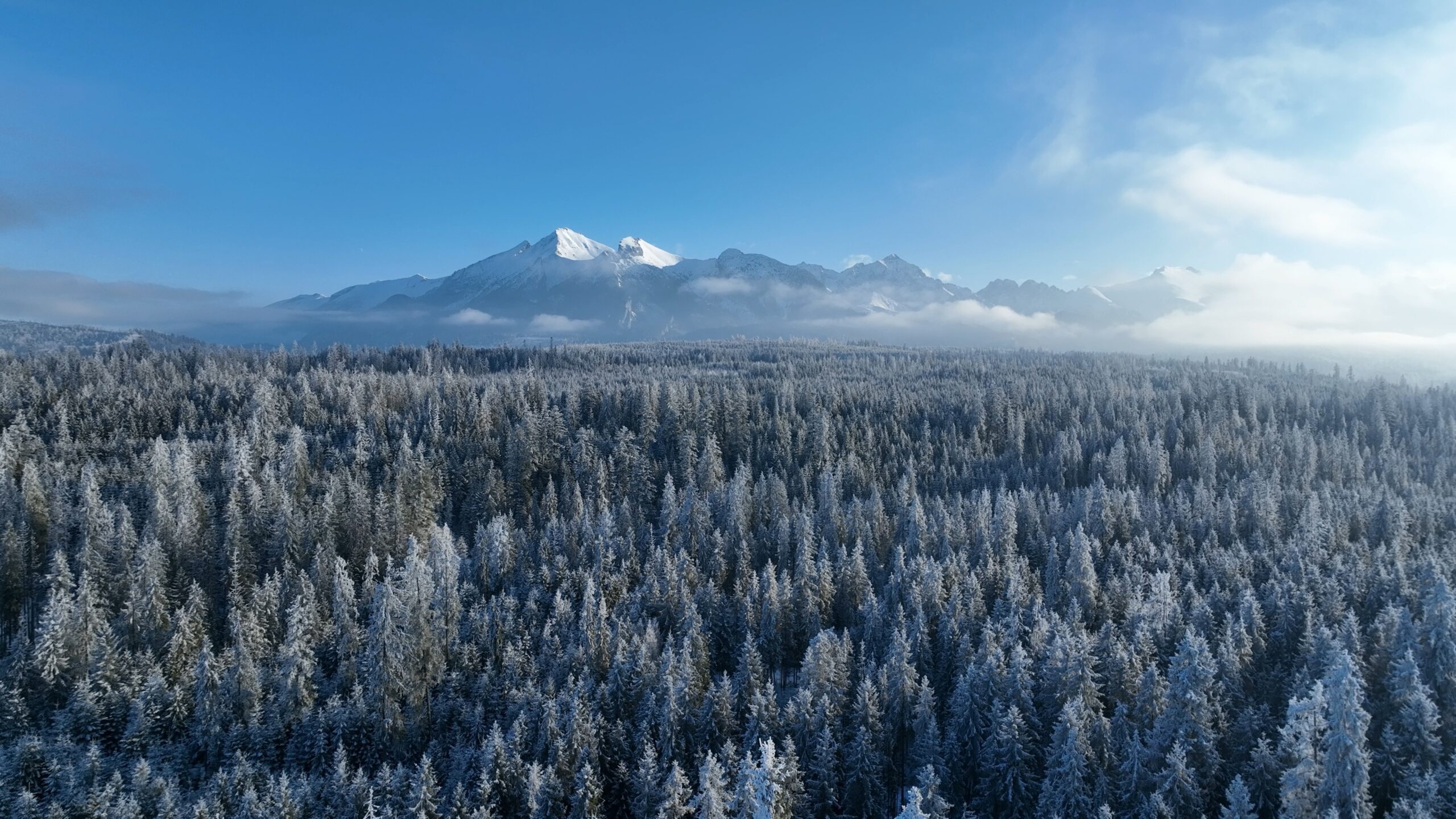 🎓 Egzamin ustny na przewodnika tatrzańskiego — Sprawdź się!