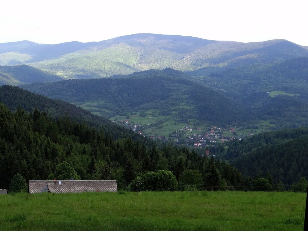 Polica (1369 m) widziana z Pasma Przedbabiogórskiego