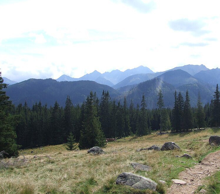 Rusinowa Polana z widokiem na Tatry Wysokie