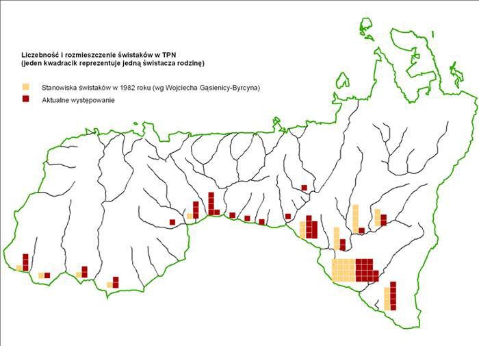 Mapa rozmieszczenia rodzin świstaków w Tatrzańskim Parku Narodowym w 1982 roku i obecnie