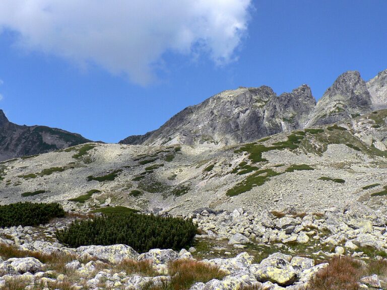 Graniasta Turnia