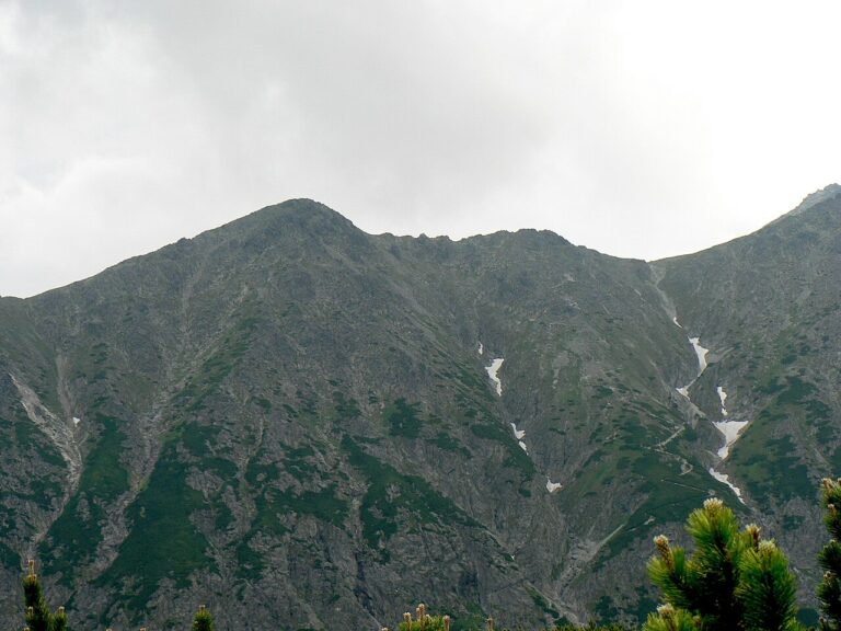 Rakuska Czuba