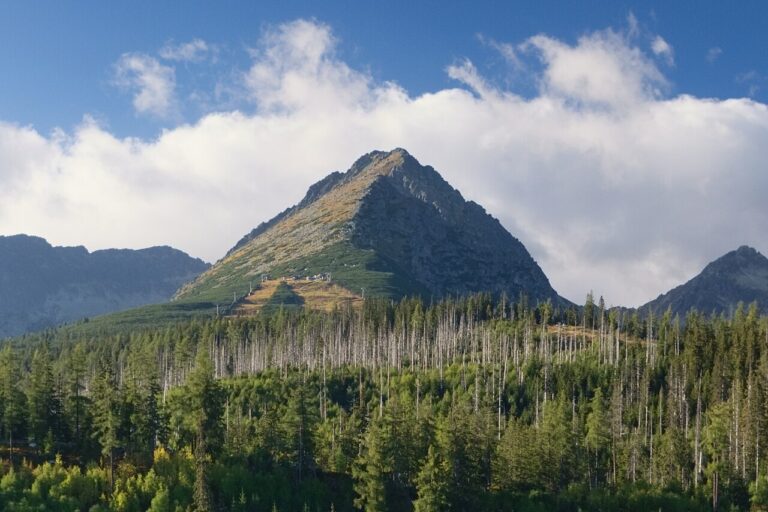 Skrajne Solisko