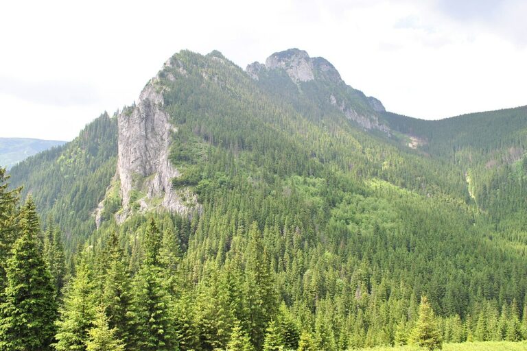 Dolina Kościeliska – łatwa trasa na wycieczkę szkolną w Tatry Zachodnie