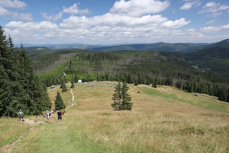 Rusinowa Polana z widokiem na Tatry Wysokie