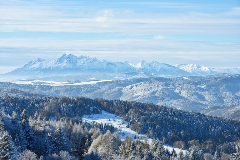 Rakiety śnieżne