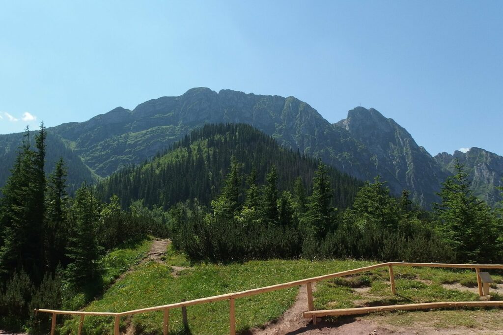 Giewont widziany z Sarniej Skały
